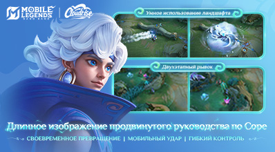 ДЛИННОЕ ИЗОБРАЖЕНИЕ РУКОВОДСТВА ПО СОРЕ