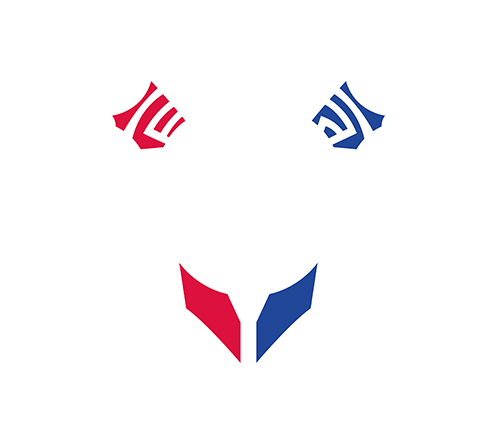 E-Project MLBB